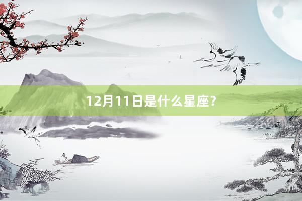 12月11日是什么星座？