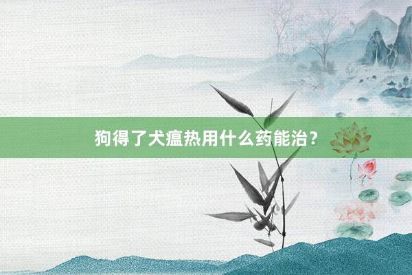 狗得了犬瘟热用什么药能治？